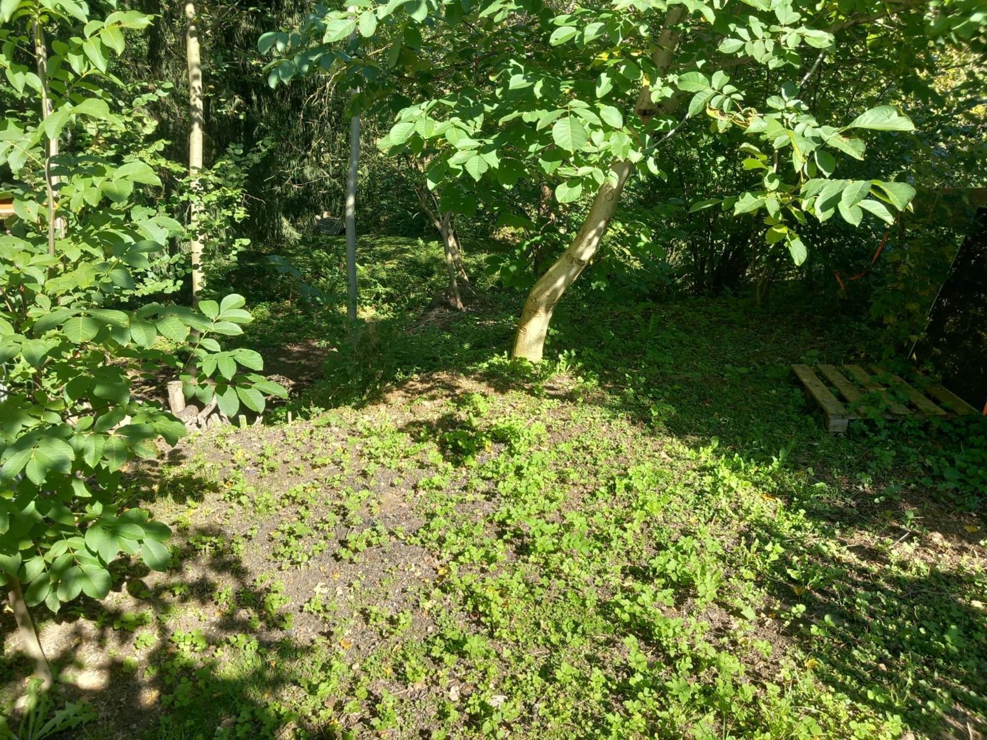 Luxury tent Jurta V Hajich *